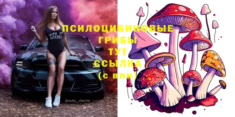 Галлюциногенные грибы MAGIC MUSHROOMS  где можно купить   Омск 